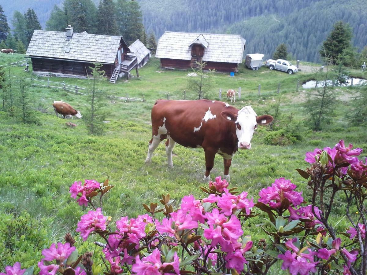 Villa Schartlhof Flachau Exterior foto